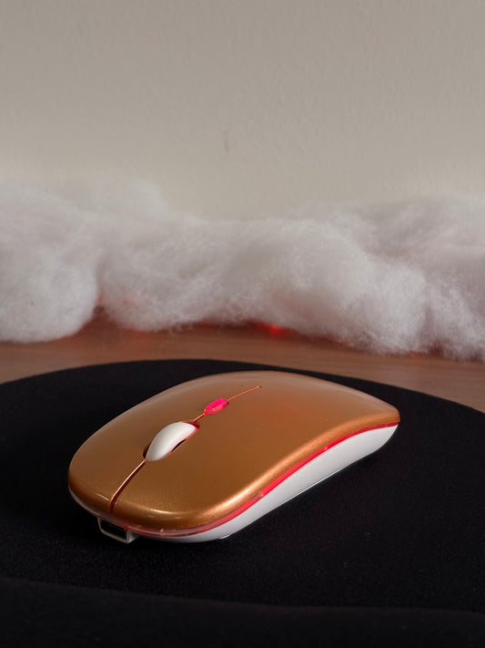 Souris sans fil rechargeable Bluetooth + 2.4GHz – Silencieuse, rétro-éclairée (1600 DPI)