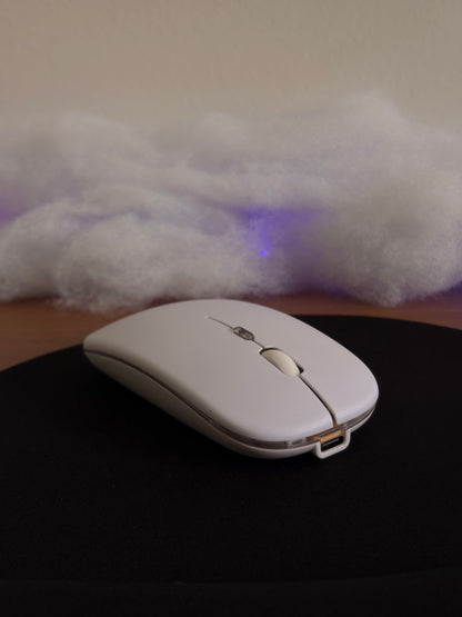 Souris sans fil rechargeable Bluetooth + 2.4GHz – Silencieuse, rétro-éclairée (1600 DPI)